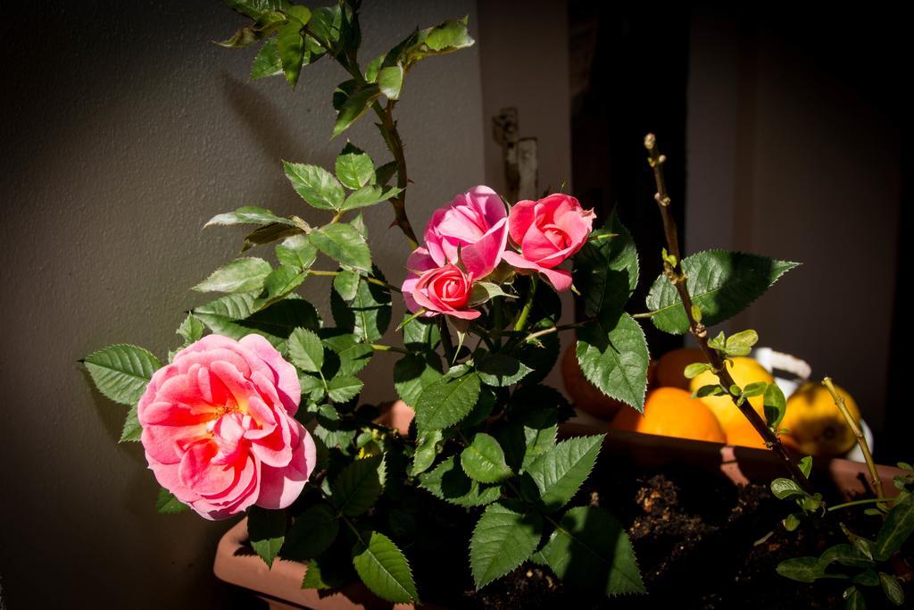 B&B Martina San Vito Kültér fotó