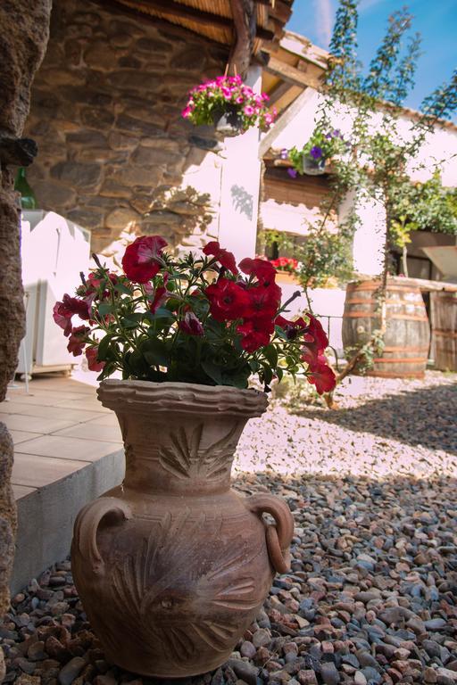 B&B Martina San Vito Kültér fotó